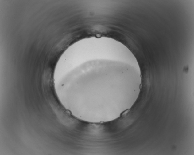 X0000115170328200911251339