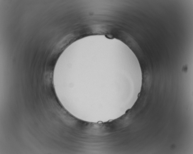 X0000115170329200911251339