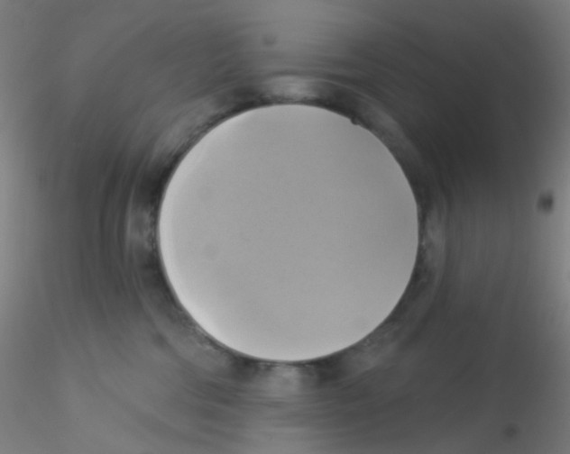 X0000115170330200911251339