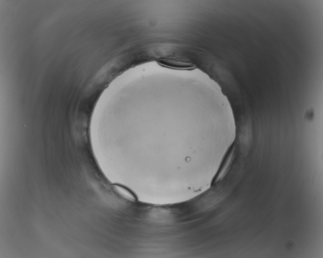 X0000115170332200911251339