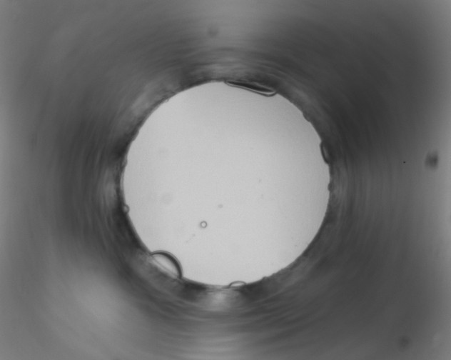 X0000115170333200911251339