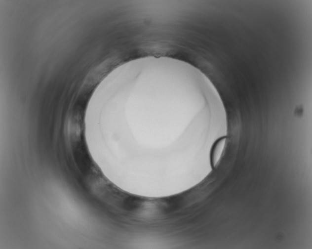 X0000115170334200911251339