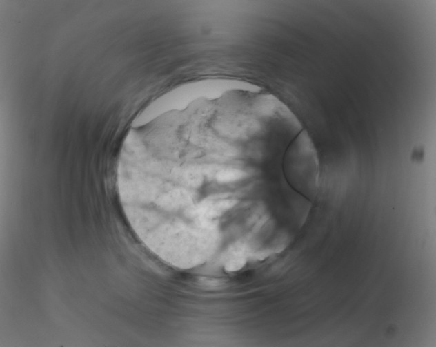 X0000115170335200911251339