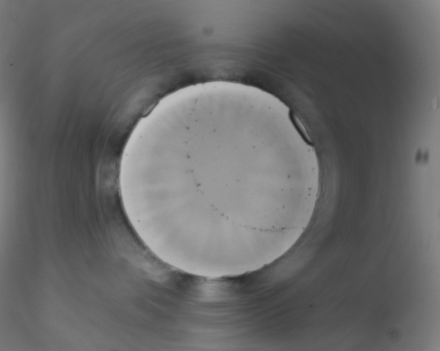 X0000115170336200911251339