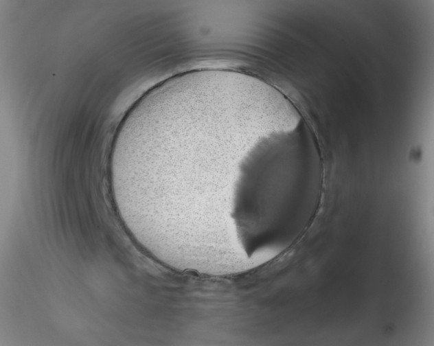 X0000115170337200911251339