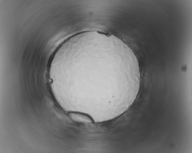 X0000115170338200911251339