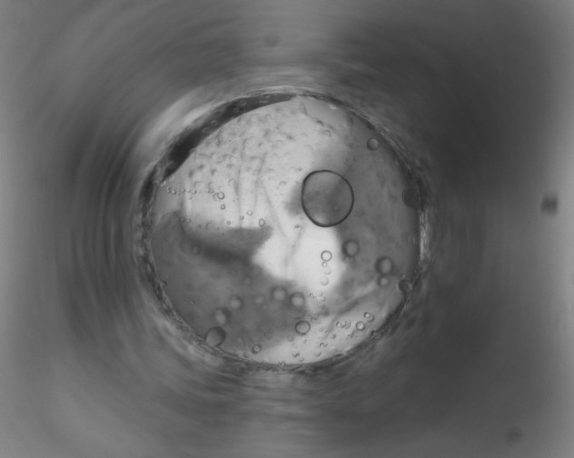 X0000115170339200911251339