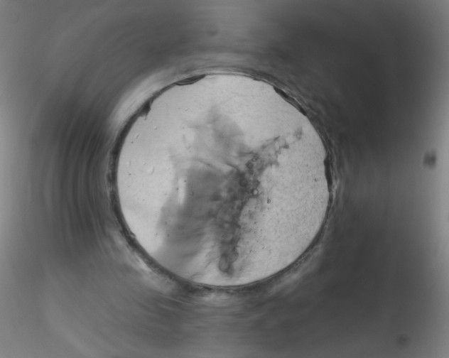 X0000115170341200911251339