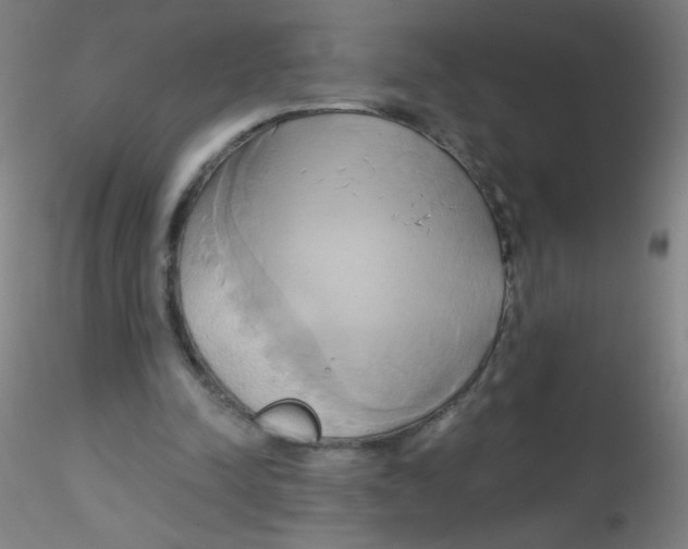 X0000115170342200911251339