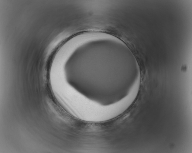 X0000115170343200911251339