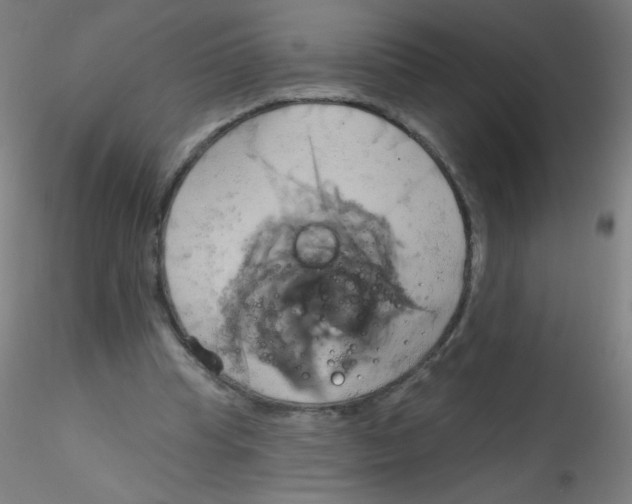 X0000115170345200911251339