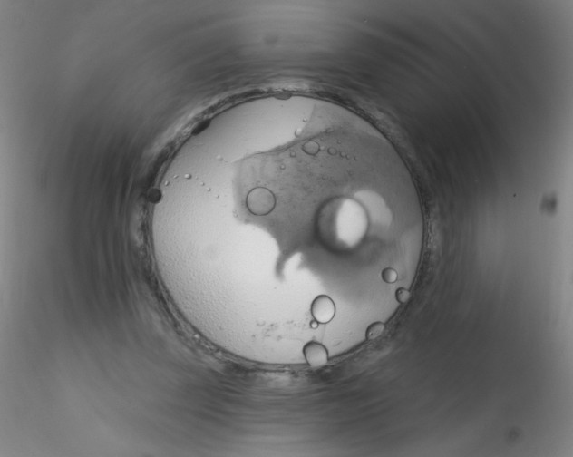 X0000115170347200911251339