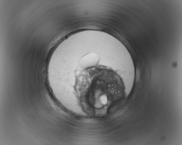 X0000115170349200911251339