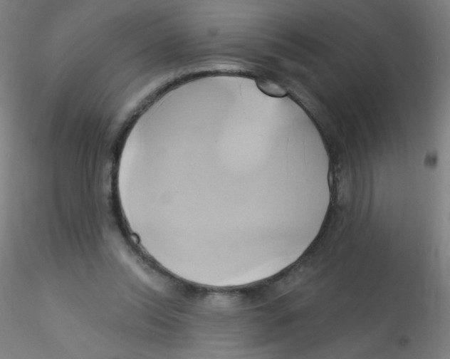 X0000115170350200911251339