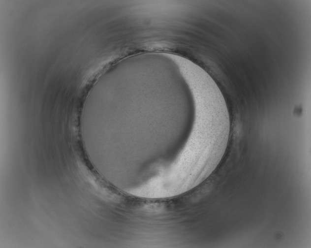 X0000115170353200911251339