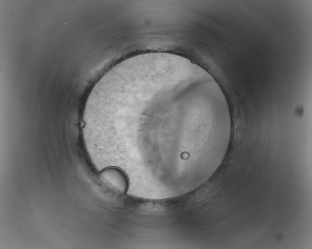 X0000115170354200911251339