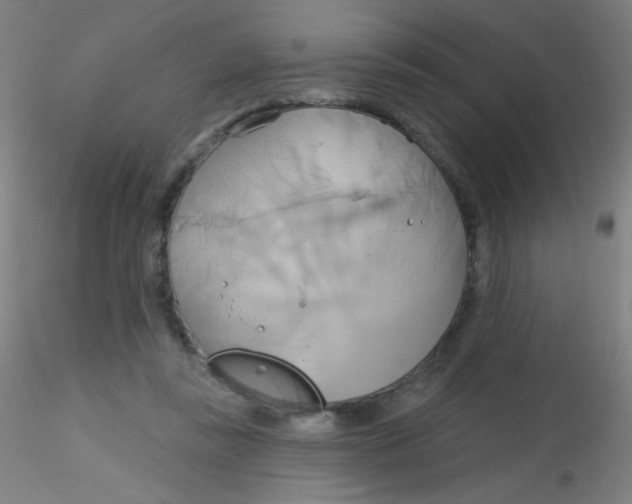 X0000115170355200911251339