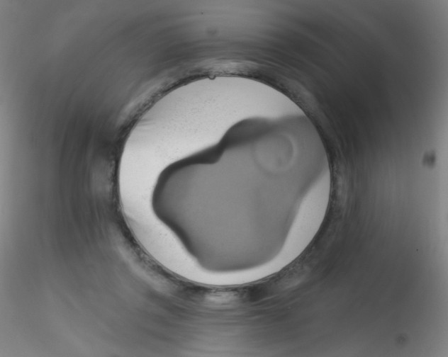 X0000115170357200911251339