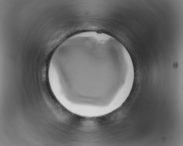 X0000115170358200911251339