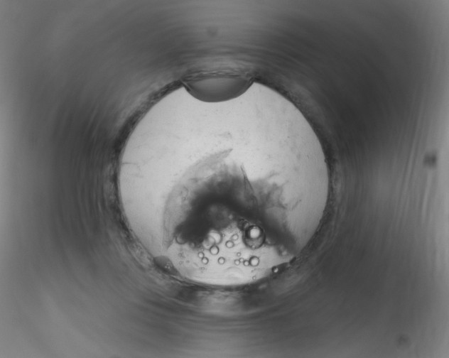 X0000115170359200911251339