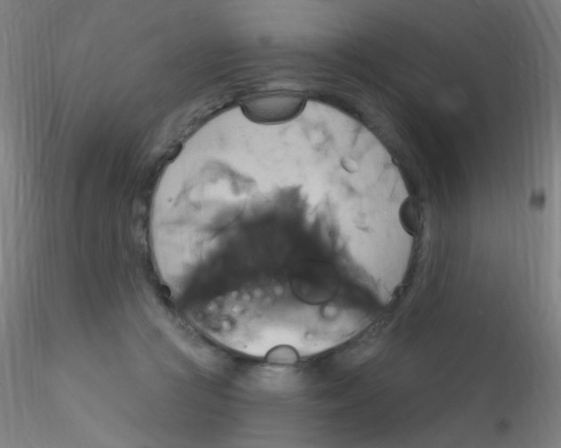 X0000115170361200911251339