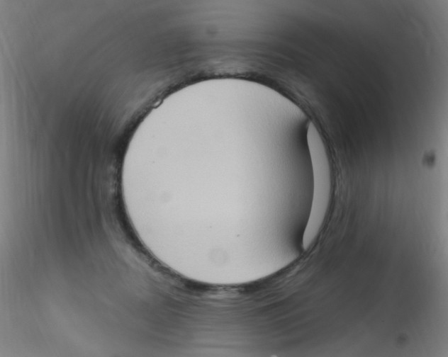 X0000115170362200911251339