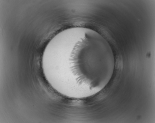 X0000115170363200911251339