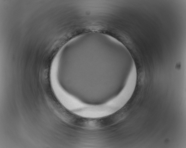 X0000115170365200911251339