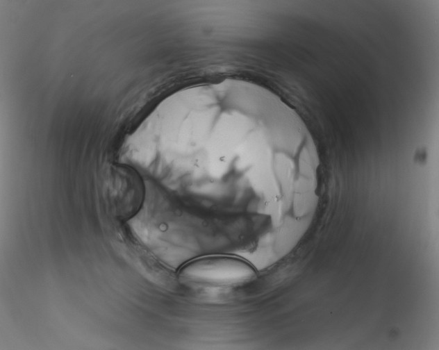 X0000115170366200911251339