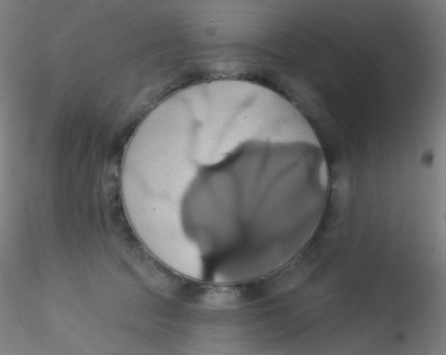 X0000115170369200911251339