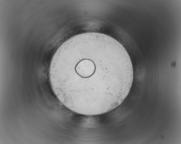 X0000115170370200911251339