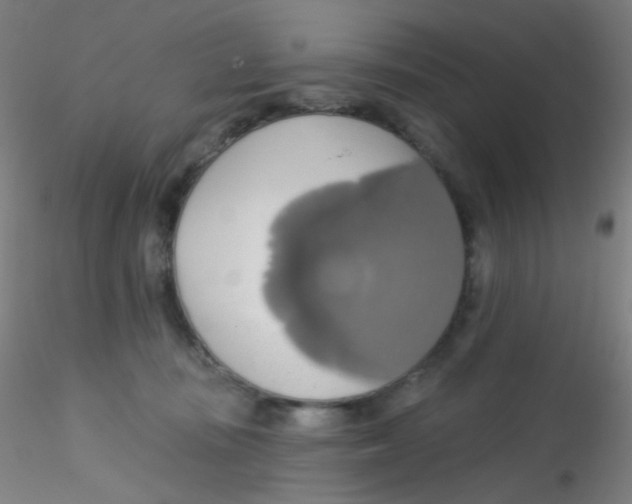 X0000115170371200911251339