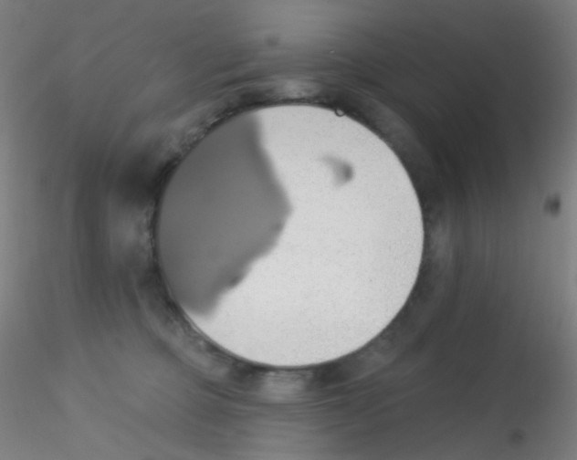 X0000115170373200911251339