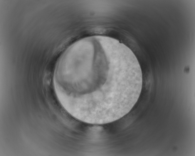 X0000115170374200911251339