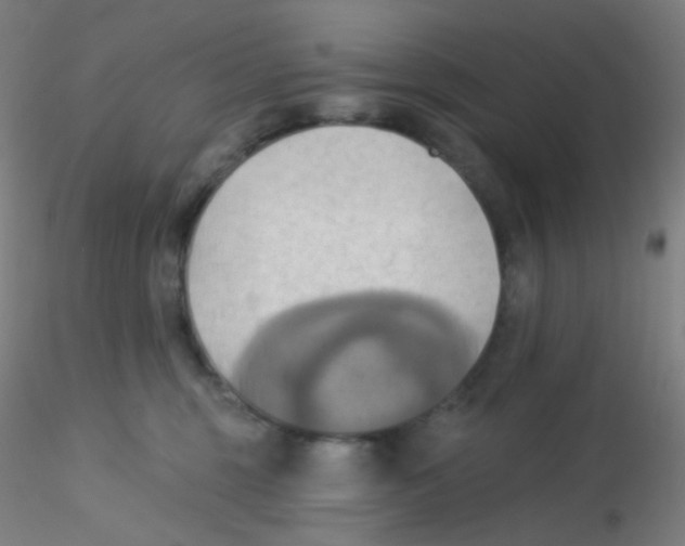 X0000115170375200911251339