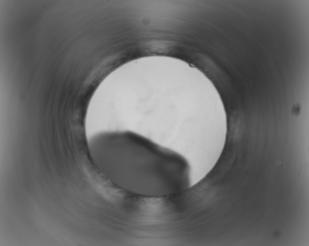 X0000115170377200911251339