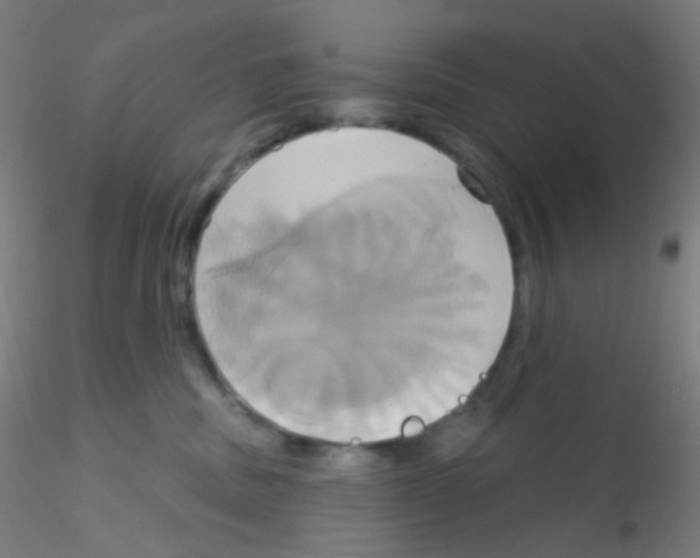 X0000115170379200911251339