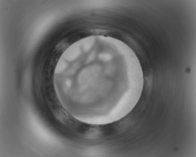 X0000115170381200911251339