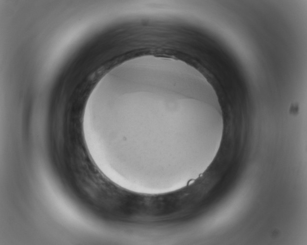 X0000115170383200911251339