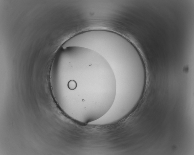 X0000115170385200911251339