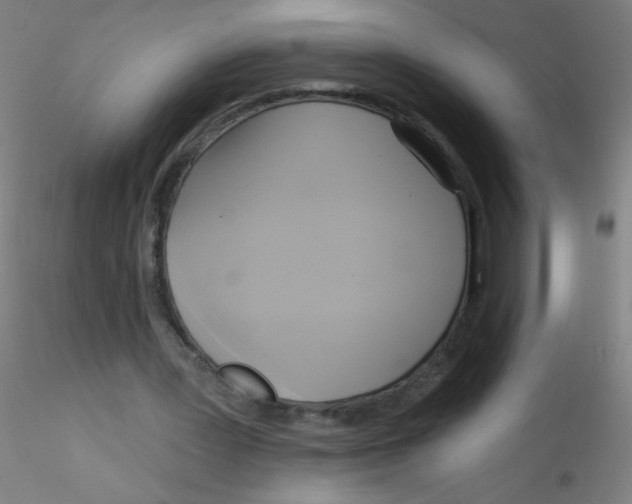 X0000115170387200911251339