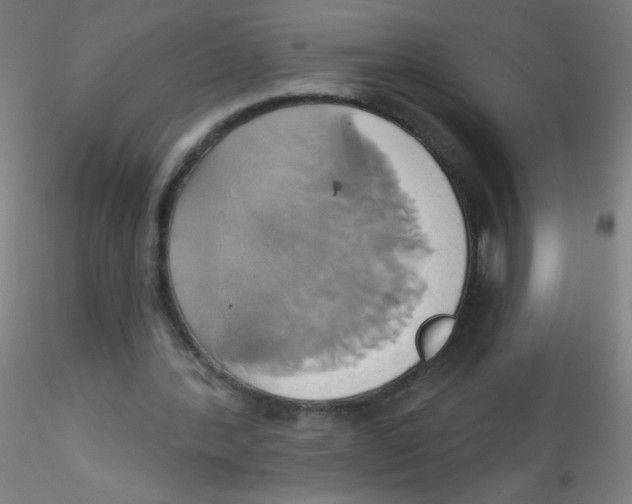 X0000115170388200911251339