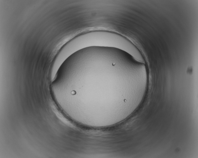 X0000115170389200911251339