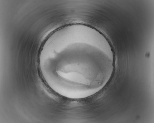 X0000115170390200911251339