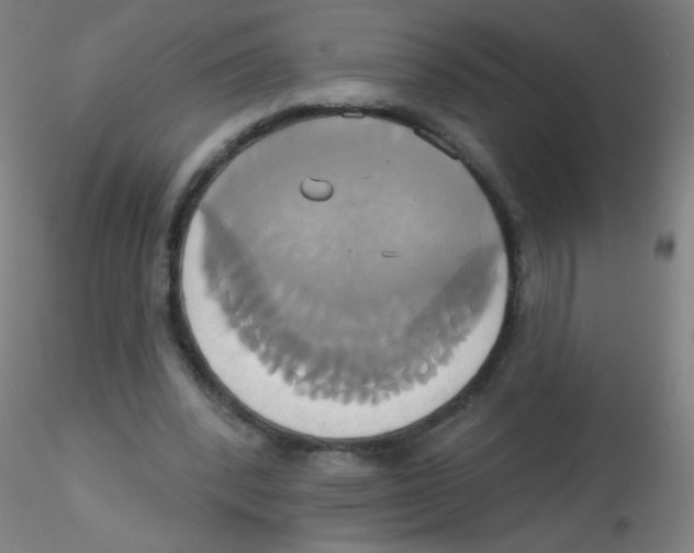 X0000115170392200911251339