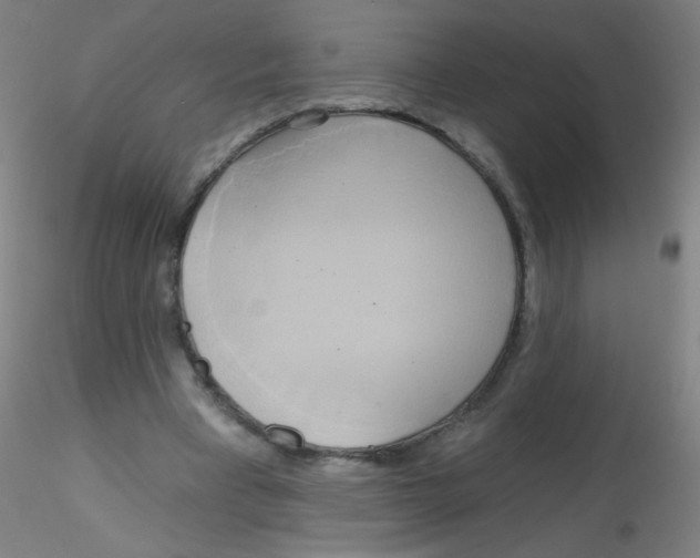 X0000115170393200911251339