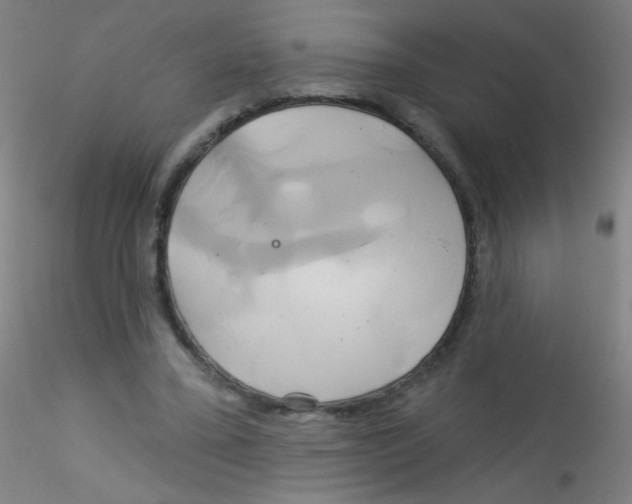 X0000115170395200911251338