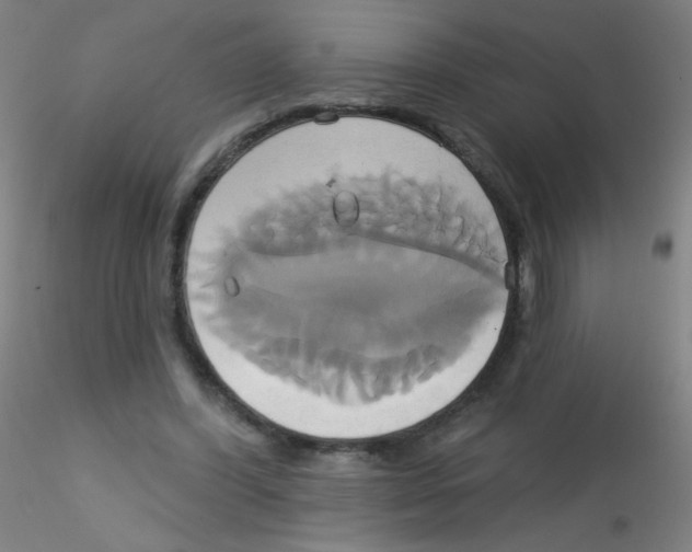 X0000115170396200911251338