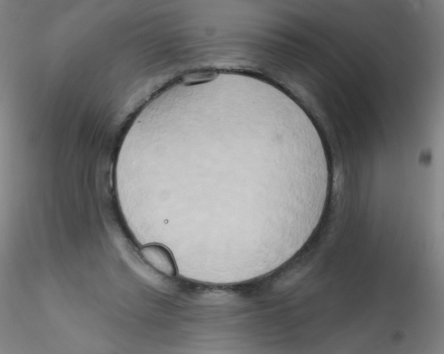 X0000115170397200911251338