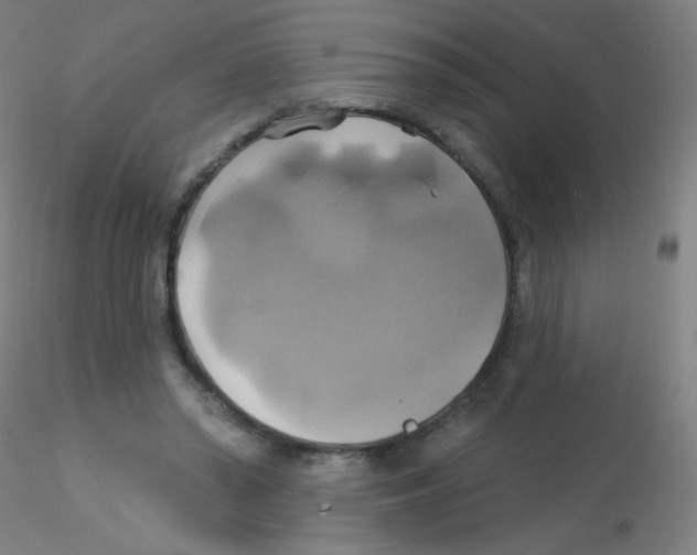 X0000115170398200911251338